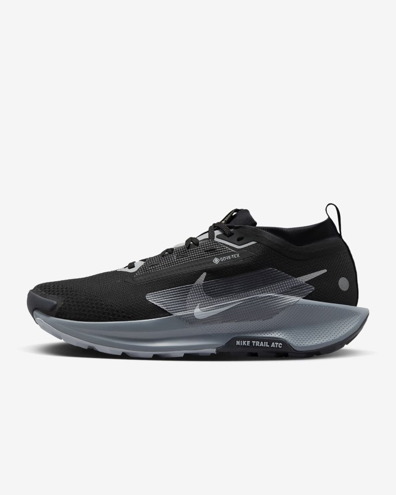 Nike Pegasus Trail 5 GORE-TEX Black/Cool Grey/Anthracite/Wolf Grey