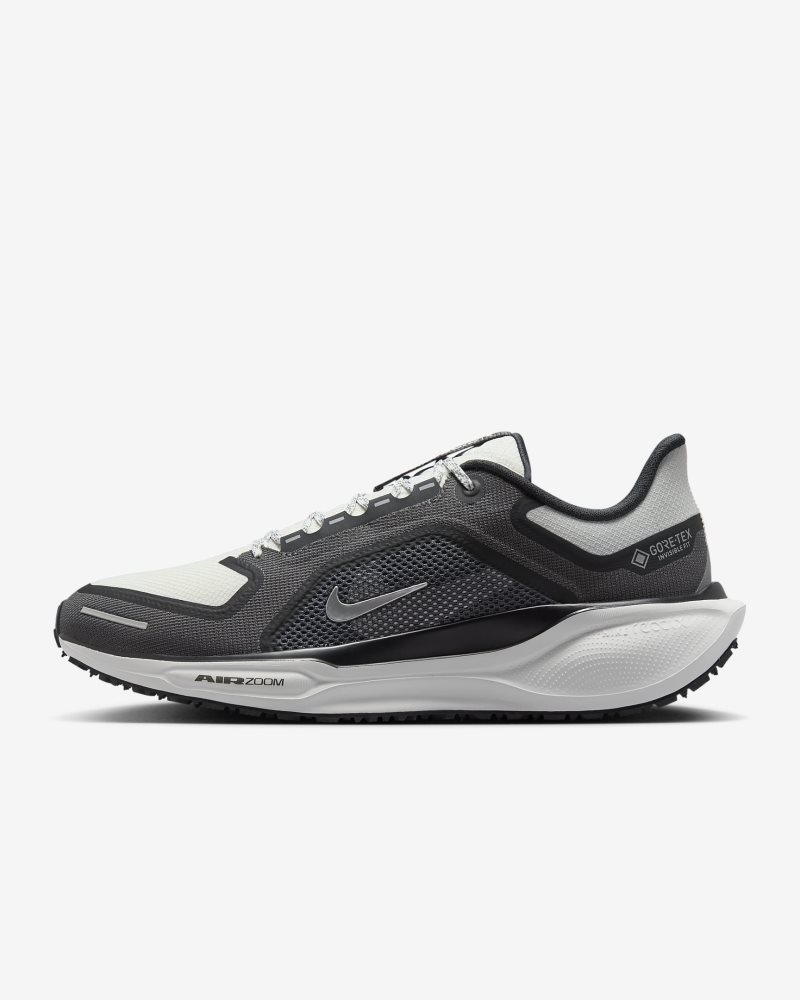 Nike Pegasus 41 GORE-TEX Black/Anthracite/Iron Grey/Summit White