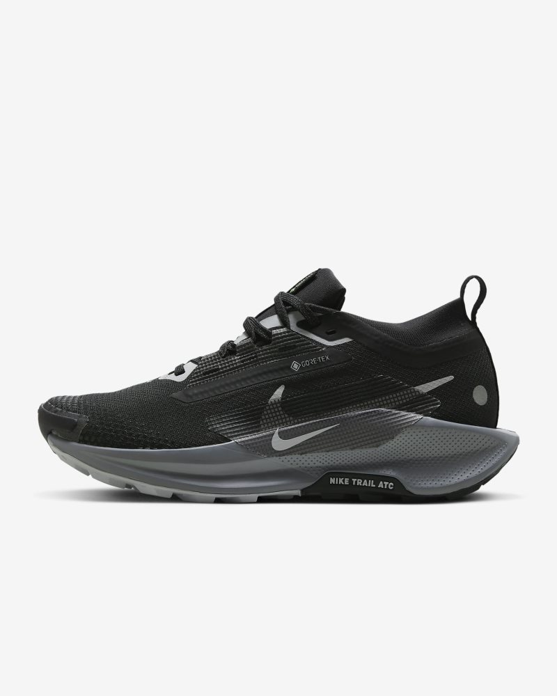 Nike Pegasus Trail 5 GORE-TEX Black/Cool Grey/Anthracite/Wolf Grey