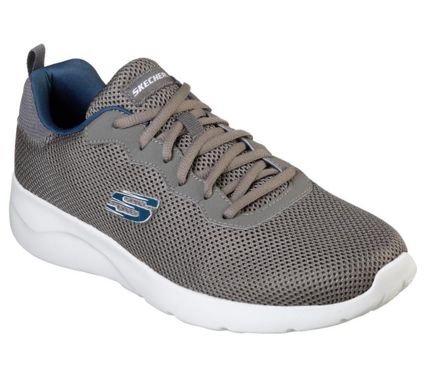 Men's Dynamight 2.0 - Rayhill